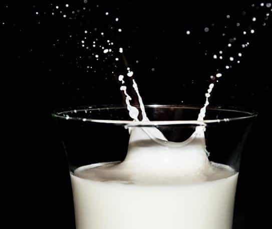 lait