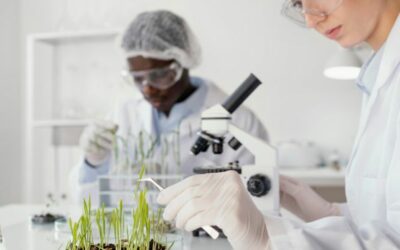 Quel est le rôle d’un laboratoire d’analyses agroalimentaires ?