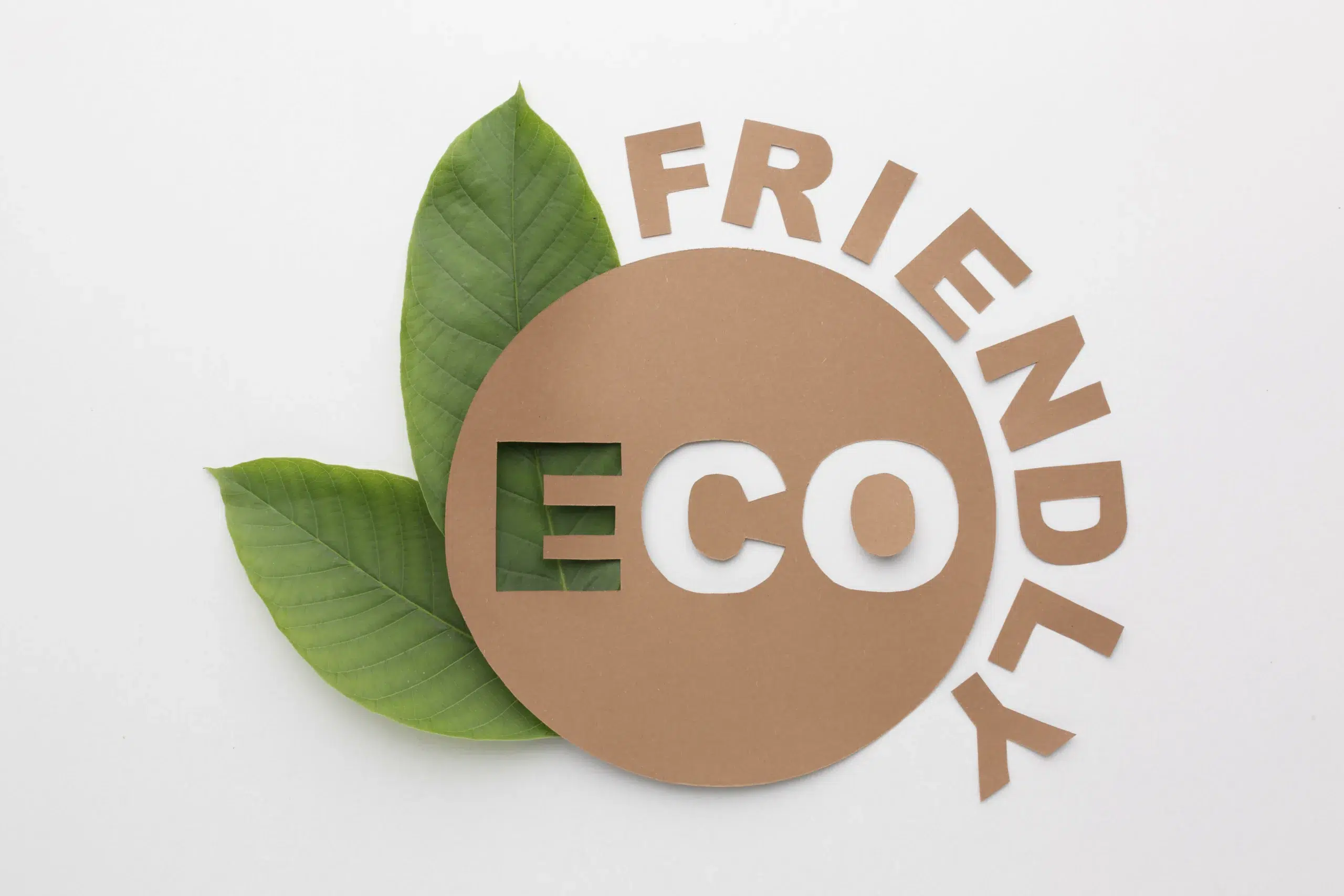 eco-friendly-sign Eco responsabilité logo