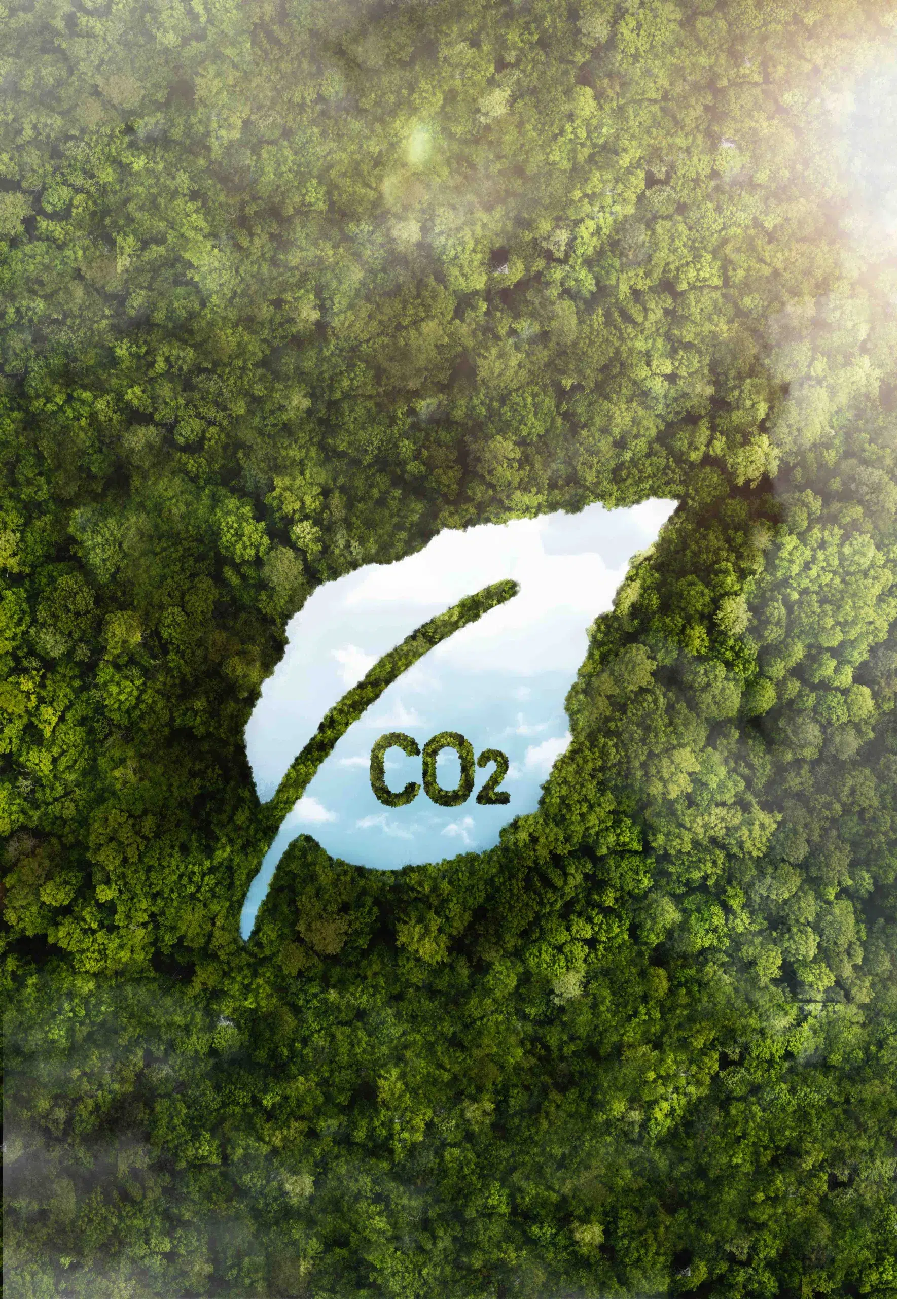 La décarbonalisation 