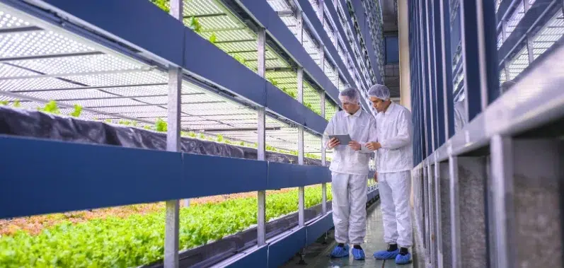traçabilité agroalimentaire