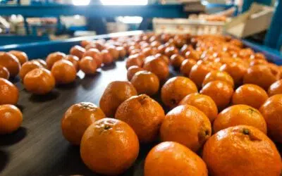 Rail vibrant : une solution pour optimiser les chaînes de production