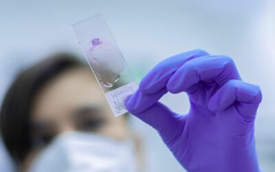 Comment entrer dans l’industrie pharmaceutique ?