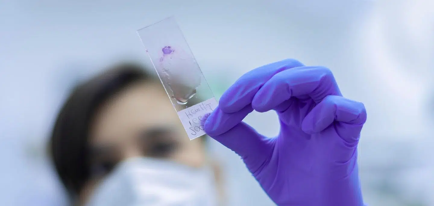 Comment entrer dans l’industrie pharmaceutique ?