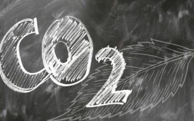 Réduire son empreinte carbone : les emballages éco-responsables au cœur de la transition durable
