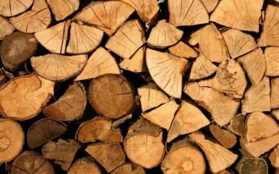 Du tronc à la pièce finie : les grandes étapes de la transformation du bois dans l’industrie