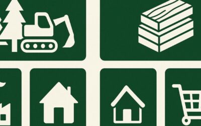 Qui sont les acteurs de la filière bois en France ? Rôles et enjeux de chaque maillon de l’industrie