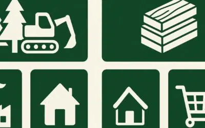 Quelles sont les entreprises de la filière bois en France ? Rôles et enjeux de chaque maillon de l’industrie