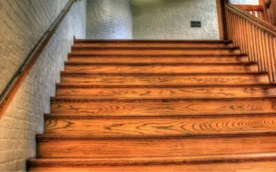 Le bois acétylé (Accoya®) : une innovation durable pour l’industrie du bois