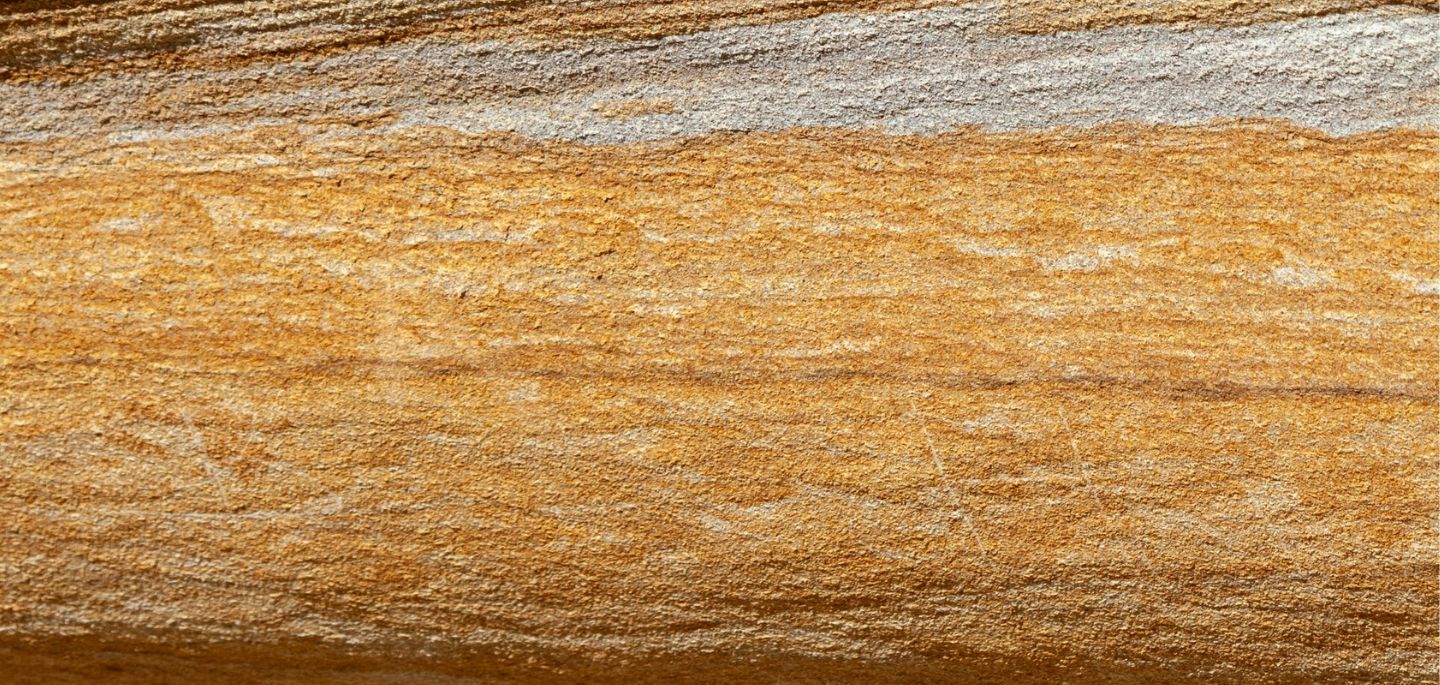 Cette image illustre de la fibre de bois