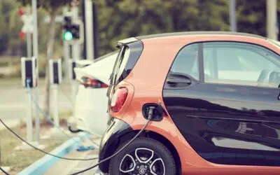BYD : qui est ce géant de l’automobile électrique, et son nouveau modèle, le Dolphin Surf ?