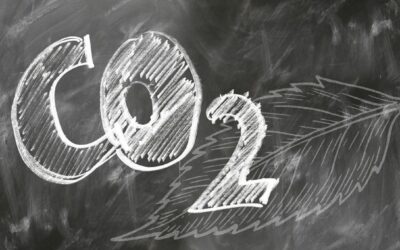 Quel est le bilan carbone de l’industrie textile ?