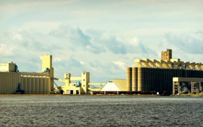 Métiers industrie agroalimentaire : panorama, missions et évolutions