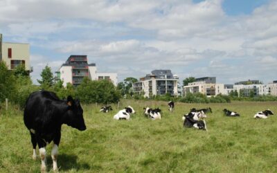 Entreprises agroalimentaires Rennes : les acteurs à connaître en Ille-et-Vilaine