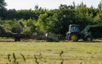 Agroalimentaire 2026 : 10 innovations de rupture qui vont bouleverser l’automatisation, les ingrédients et les emballages