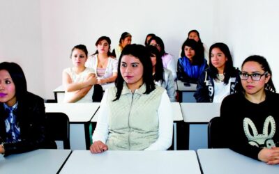 Formations agroalimentaires : du CAP au diplôme d’ingénieur, quel parcours choisir ?