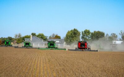 HACCP industrie agroalimentaire : étapes, plan de maîtrise sanitaire et erreurs à éviter