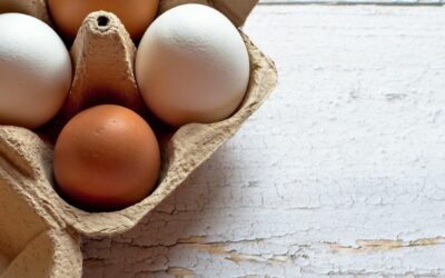Emballages alimentaires : éco-conception, recyclabilité, barrières techniques et contraintes